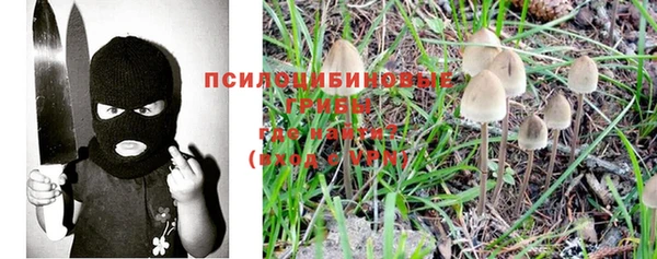 крисы Арсеньев