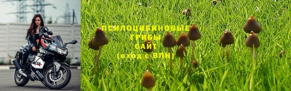 крисы Арсеньев