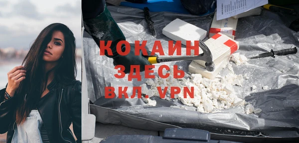крисы Арсеньев