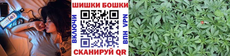 Бошки марихуана гибрид  где можно купить наркотик  Холмск 